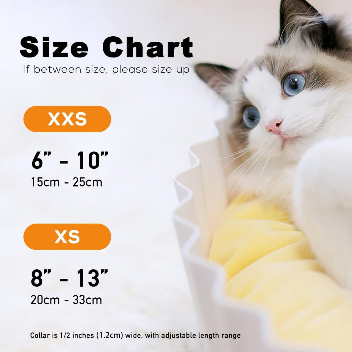 Sushi-Themed Breakaway Cat Collar and Bow Tie Set for Special Occasions