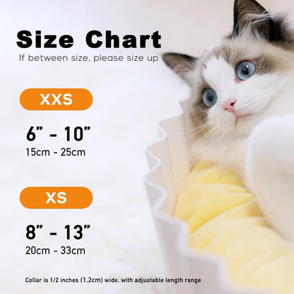 Sushi-Themed Breakaway Cat Collar and Bow Tie Set for Special Occasions