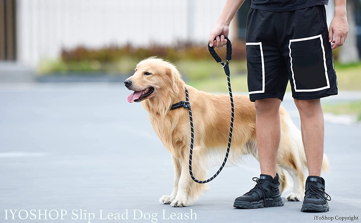 Durable Black Slip Lead Dog Leash, 1/2" x 6 FT