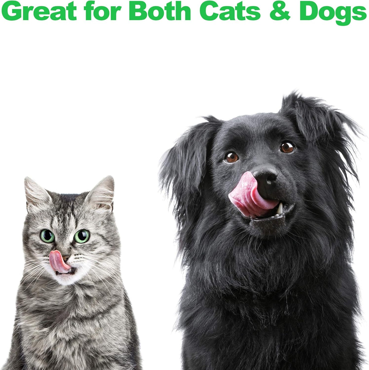 Set of 2 Stainless Steel Dog Bowls - 40 Oz Pet Bowls with Decorative Stand - Metal Food and Water Dishes for Large Pets - Puppy Essentials (Silver/Black)